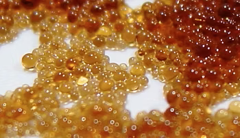 Close-up photo of ion exchange resin (Wikipedia)